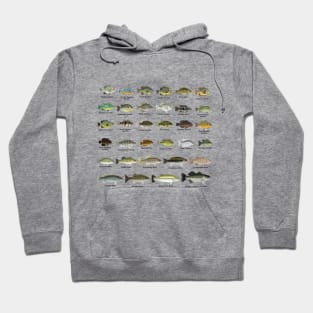 North America Sunfish Group - Named Hoodie